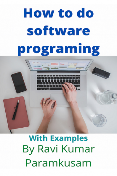 Software Programming with Ravi: With Examples