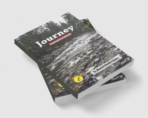 journey