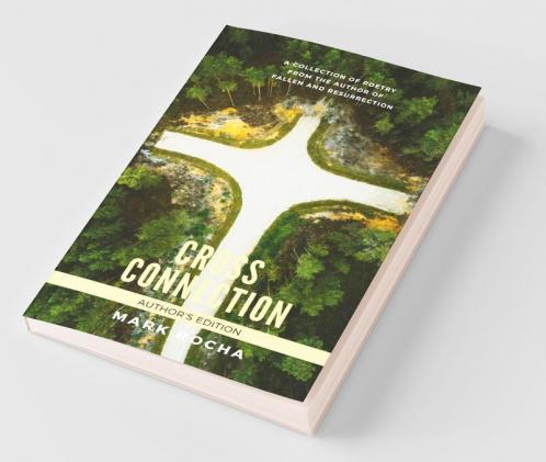 Cross Connection - Author'S Edition