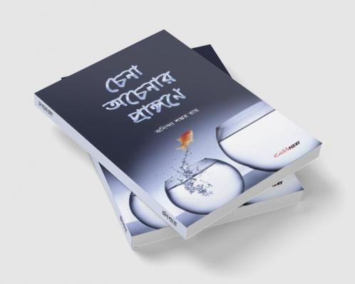 Chena Acenar Prangane / চেনা অচেনার প্রাঙ্গণে : A Collection of Bengali Stories