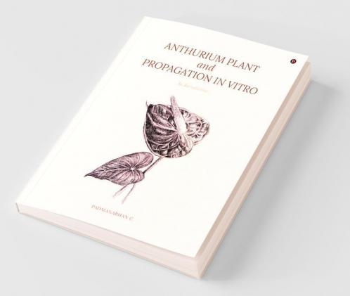 Anthurium Plant And Propagation In Vitro An Introduction