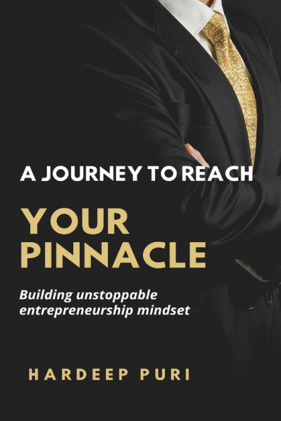 A Journey to reach your pinnacle: Building unstoppable entrepreneurship mindset by awarness