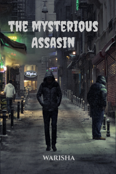 THE MYSTERIOUS ASSASIN
