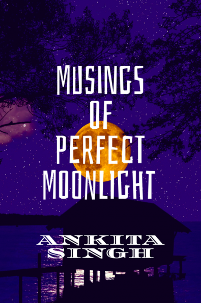 Musings of Perfect Moonlight