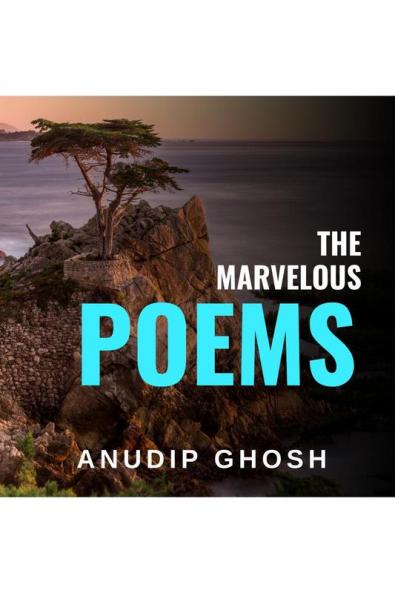 THE MISSING MAN : FINDING A MISSING MAN