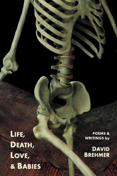 Life Death Love and Babies