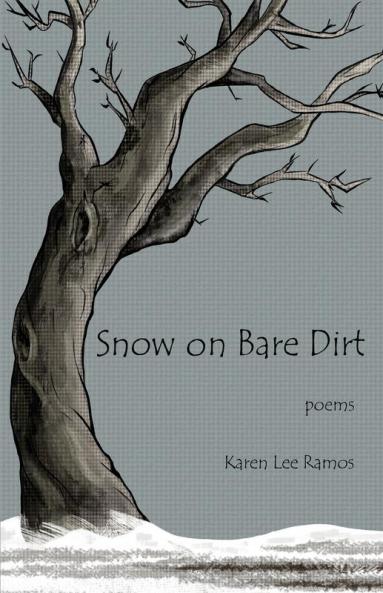 Snow on Bare Dirt