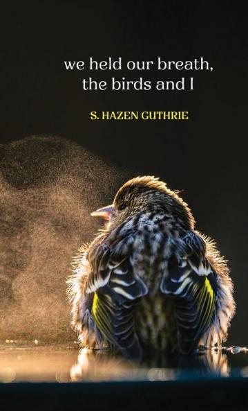 we held our breath the birds and I