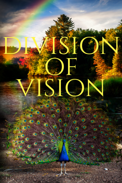 DIVISION OF VISION