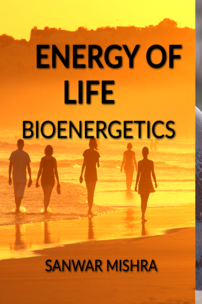 ENERGY OF LIFE : BIOENERGETICS