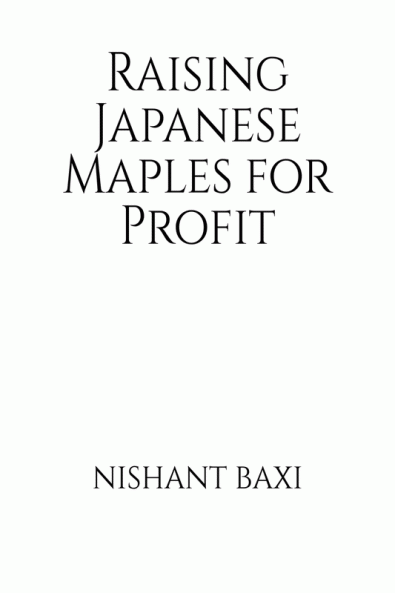 Raising Japanese Maples for Profit