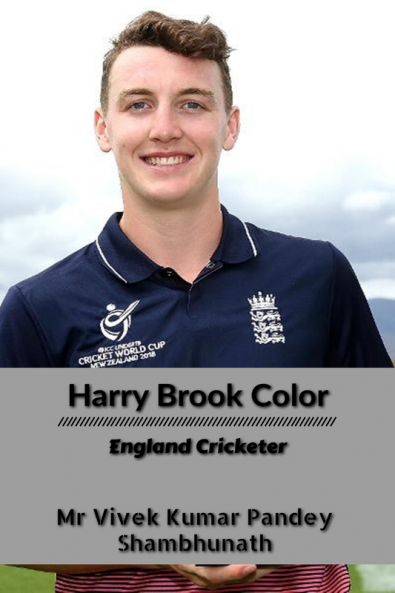 Harry Brook Color : England Cricketer