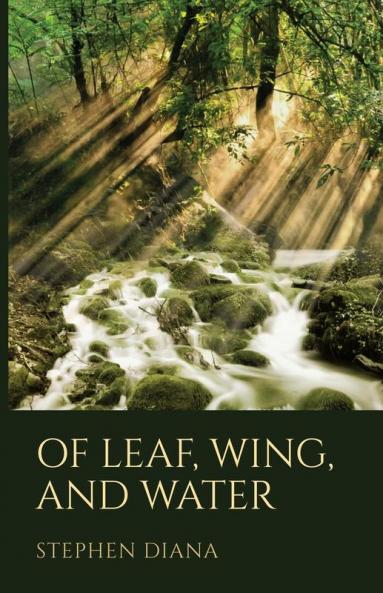 Of Leaf Wing and Water