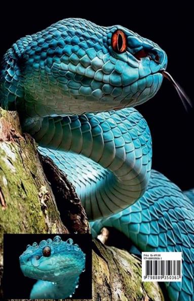 Snake Coloring Book for Kids: Perfect Snake Animal Coloring Pages for Boys Girls and Kids Ages 4 and Up | Beautiful Collection of Coloring Pages Decorative Reptiles | Who love Cute Reptiles this i...