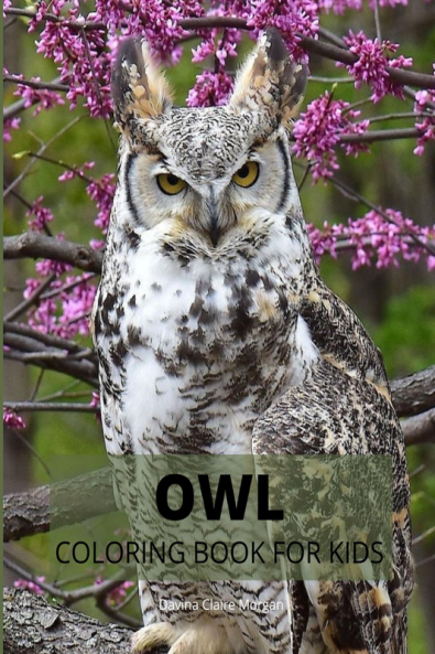 Owl Coloring Book for Kids: Cute Owl Designs to Color for Girls Boys and Kids Ages 3-8 | Coloring and Acitivity Book for Kids Ages 3-8 with Adorable and Cute Owls