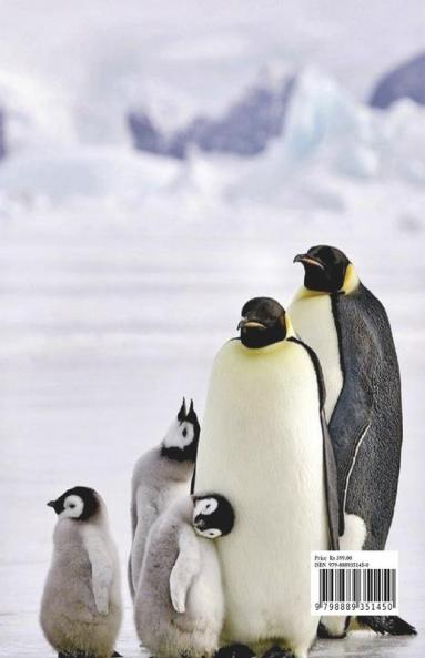 Cute Penguin Coloring Book for Kids: Fun Cute and Cool Penguin Coloring Pages for Kids Ages 2 and Up | Great Adventure Coloring Book For Toddlers with Adorable Penguins | Amazing Pages to Color fo...