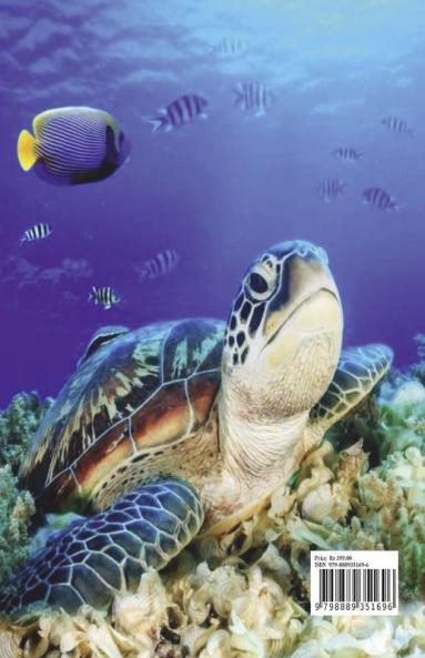 Turtle Coloring Book for Adults: Stress Relieving Turtle Designs for Adults | 46 Premium Coloring Pages with Amazing Designs | An Adults Turtle Coloring Book with Sea Turtles | Relaxation Meditati...