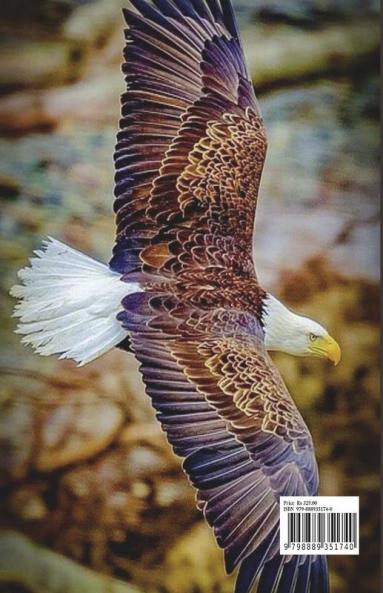 Eagle Coloring Book for Kids: Stress Relieving with Incredible Premium Desings with Eagle for Kids Ages 5 and Up | Strong and Proud Eagle Color Book for Children and All Ages | Amazing Gift for All...