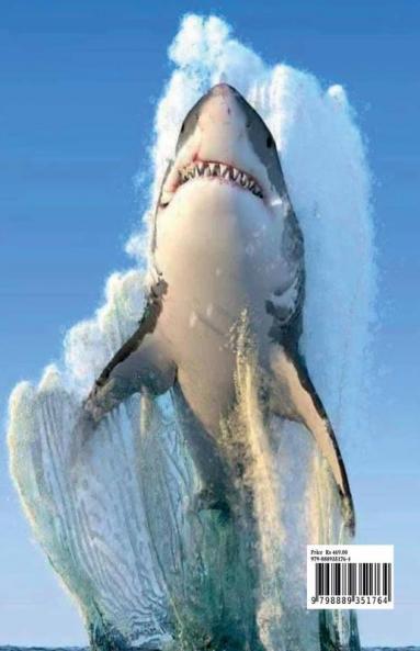 Shark Coloring Book for Kids: Shark Activity Book for Boys Girls and Kids Ages 4 and Up | Great White Shark Hammerhead Shark &amp; Other Sharks Book for Kids | 46 Amazing Pages to Color Shark for...