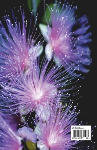 Floral Luxury Coloring Book for Adults: 50 Premium Floral Designs Stress Relieving | Friendly and Relaxing Floral Art | Amazing Flowers Coloring Book for Adults Stress Relief and More