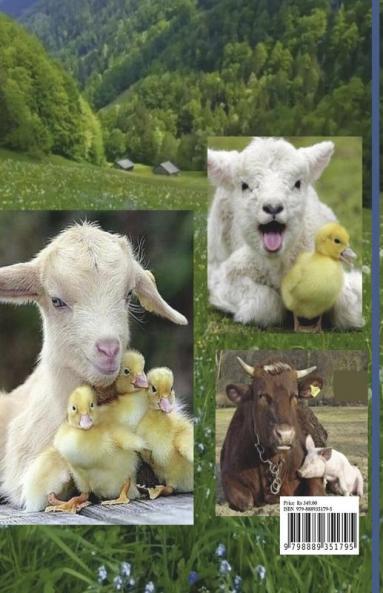 Animal Best Friends Coloring Book for Kids vol.2: A Cute Farm Animal Coloring Book for Kids Ages 3-8 | Super Coloring Pages of Animals on the Farm |Animal Best Friends Activity and Coloring Book fo...