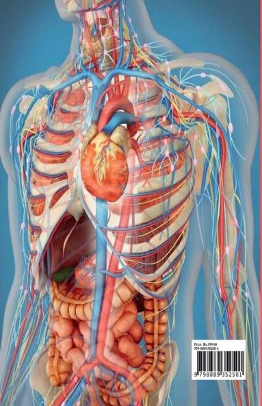 Human Anatomy Coloring Book for Kids: Human Body Activity and Coloring Book for Kids Ages 8 and Up | My First Human Body Parts and Human Anatomy Coloring Book
