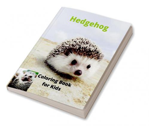 Hedgehog  Coloring Book for Kids: Children Activity Book for Boys and Girls Ages 3-8 with Super Cute Hedgehog | A Super Cool Gift for Boys and Girls Ages 3-8 – Hedgehog Coloring and Activity Book |...