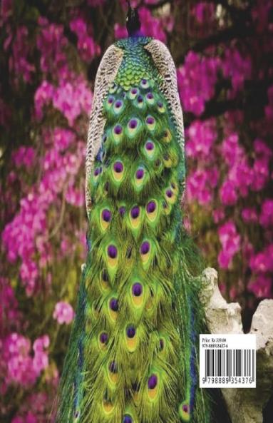 The Most Beautiful Birds Adult Coloring Book Luxury Edition: Creative Haven Birds Adult Coloring Book |The Audubon Birds Coloring Book | Dover Nature | Relaxation Meditation and Happiness Coloring...