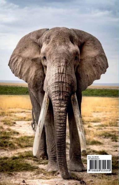 Elephant Coloring and Scissor Skills Activity Book: A Fun Coloring Cutting and Pasting Workbook for Kids | Beautiful Collection of Pages with Elephants for Coloring and Scissor Skills | Amazing Gi...