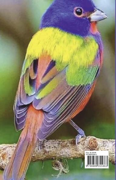 Birds Coloring and Scissor Skills Activity Book: Children Coloring and Scissor Skills Book for Girls & Boys Ages 3-8 | 25 State Birds and Nature – Original Designs | Beautiful Birds Coloring an...