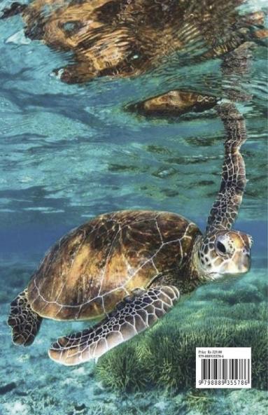 Turtle Coloring and Scissor Skills Activity Book: A Super Cool Gift for Boys and Girls Ages 3-8 Turtle Coloring and Scissor Skills Book |Children Activity Book for Boys and Girls Ages 3-8 with Supe...