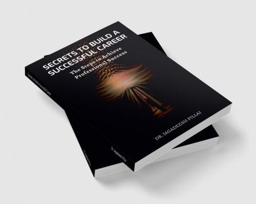 Secrets to Build a Successful Career : The Steps to Achieving Professional Success