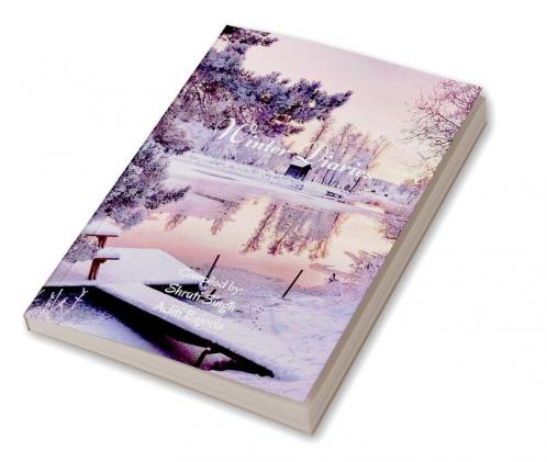 Winter Diaries