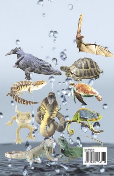 Kappiya's Picture Book -1 : Alphabets on Animals and its rare Facts