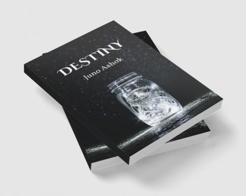 DESTINY : The set right force