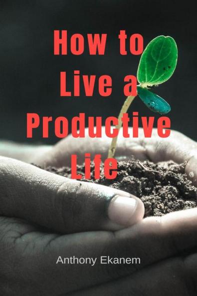 How to Live a Productive Life