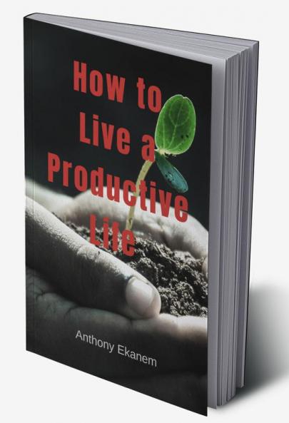 How to Live a Productive Life