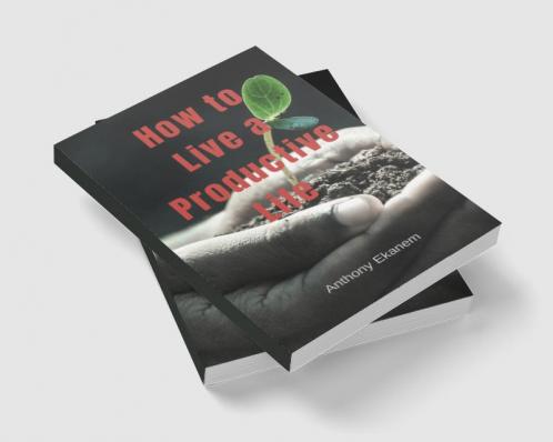 How to Live a Productive Life