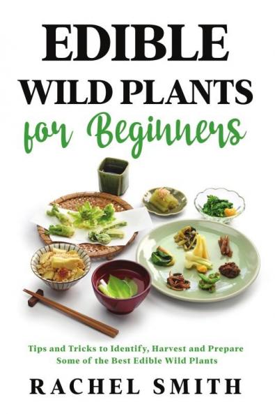 Edible Wild Plants for Beginners