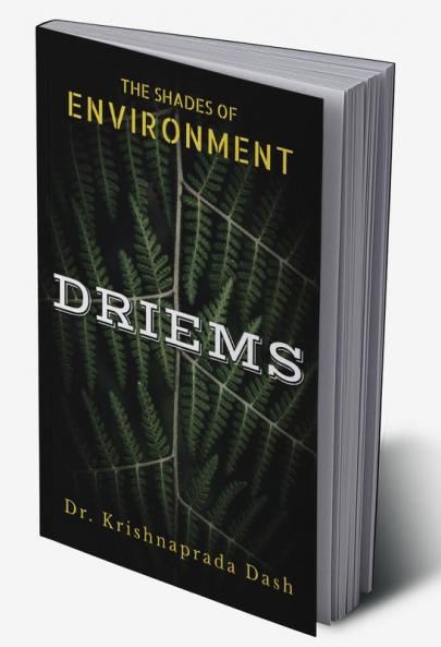 The Shades of Environment