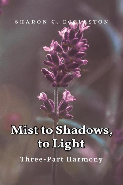 Mist to Shadows to Light