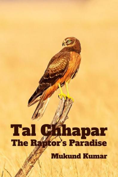 Tal Chhapar: The Raptor’s Paradise