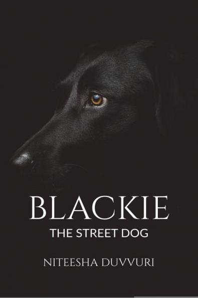 Blackie-The Street Dog