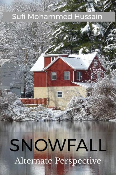 Snowfall : Alternate Perspective