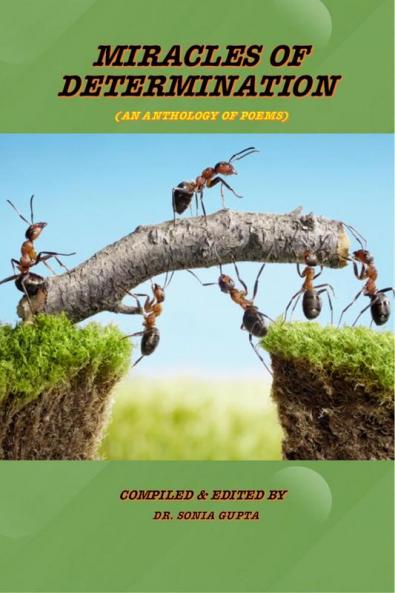 Miracles of Determination: An Anthology of Poems