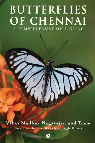Butterflies of Chennai: A Comprehensive Field Guide