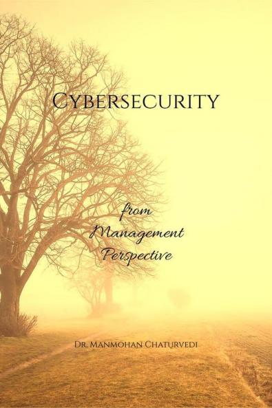 Cybersecurity: from Management Perspective