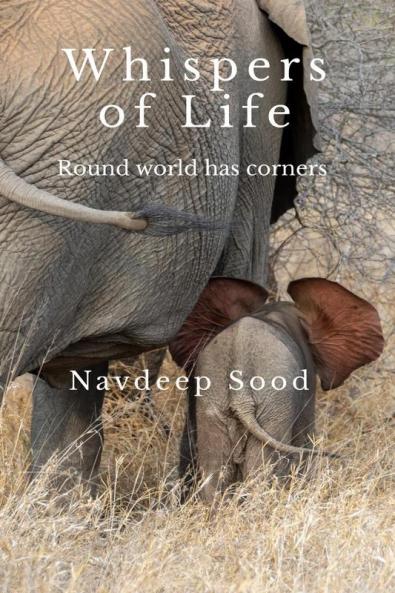 Whispers of Life: Corners of Round World