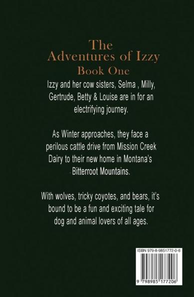 Izzy the Bernese Mountain Dog