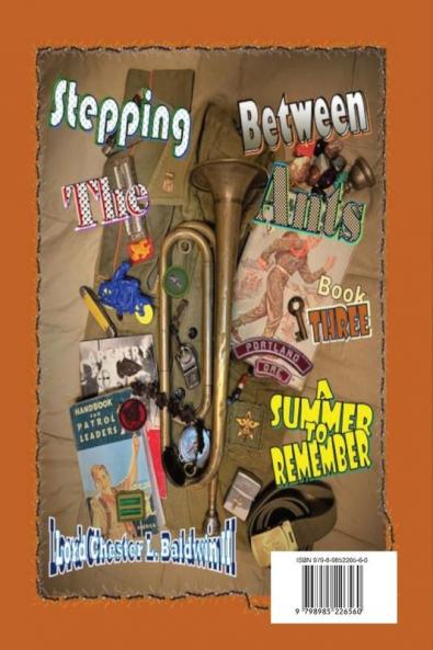 Stepping Between The Ants: Book THREE: A Summer To Remember